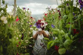 Check spelling or type a new query. A Visit To Blue Poppy Coastal Cutting Garden The Natural Wedding Company