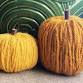 Adults & Crafts: Yarn Pumpkins event image
