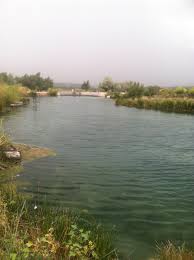 Just looking to take a quick stroll? Hot Springs In Panaca Nv Nevada Travel Hot Springs Favorite Places