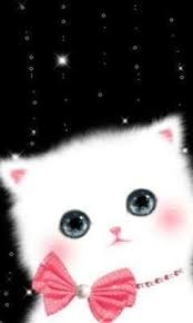 Cik gebuss yang bijak.tak bosan walaupun dah tengok 20 kali :p <3 koleksi gambar kucing comel <3. 24 Gambar Wallpaper Kucing Comel Richi Wallpaper