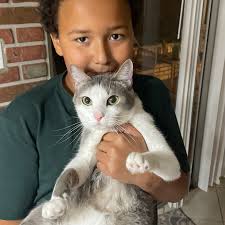 Fundraiser by Anna Montano : Help Ollie Overcome His Vet Emergency