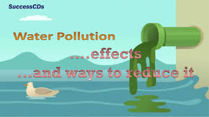 Water Pollution Effects And The Ways To Reduce It