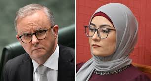 Demoted NSW MP D'Adam says Labor becoming less tolerant