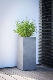 Pflanzkubel Blumenkubel Pflanzkubel Bepflanzung Pflanzen