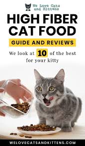 Best High Fiber Cat Food Reviews And Cat Food Guide In 2020 High Fiber Cat Food Cat Food Cat Nutrition