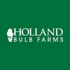 We did not find results for: 50 Off Holland Bulb Farms Coupon Promo Codes