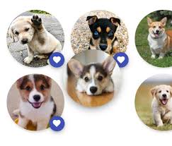 Insert item using insert() method. Sort Items In Lists Or Grids Easy Sort Kmf Infotech