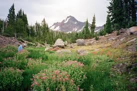 Margo Conner (@whirrclickthunk) • Instagram photos and videos