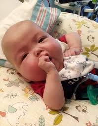 Andy Scott Lewis Obituary (2023)