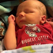 Best Friends Animal Care Center in Merrill, WI, Staff Turnover and Client  Experiences