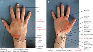 Une interprétation solide, un scénario charpenté mais vulgaire, des seconds rôles sacrifiés et une bonne utilisation des décors. La Main Revue Des Pathologies Les Plus Frequentes Pour Le Medecin De Premier Recours Revue Medicale Suisse