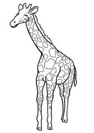 Zurafa Boyama Hayvanlar Boyama Sayfalari Ve Sanat