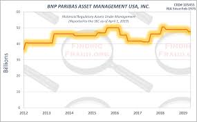 Bnp Paribas Asset Management Usa Inc Finding Fraud Initial