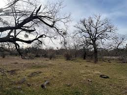 6550 Highway 84, Early, Tx 76802