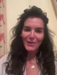 Angie Harmon