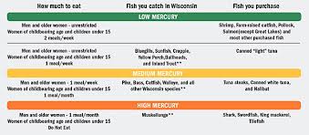 Give In To Fish Fervor Wisconsin Natural Resources
