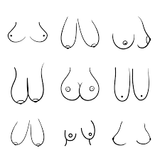 How to Support Heavy, Pendulous Breasts with Soft Tissue: 4 Tips to Fi -  Miseczki