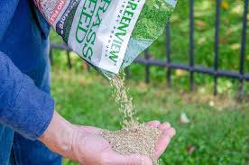 Rake the site to establish a smooth, level final grade. Choosing The Right Grass Seed For Your Yard Greenview Fertilizer