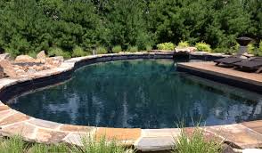 Natural Swimming Pool Design