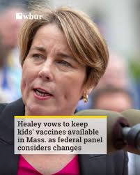 Cold-stunned turtles wash up