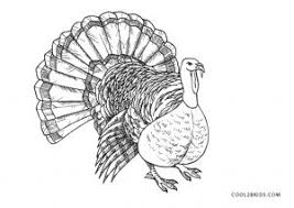 Fell free to download and print out these thanksgiving coloring pages and activity sheets from your home computer. Cjxm8dv9x Zb1m