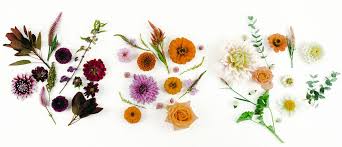 Maybe you would like to learn more about one of these? Pine State Flowers Home Facebook