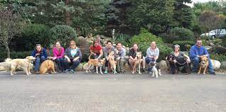 Our mission is a direct response to counteract the overpopulation of unwanted dogs. Better World Books Employees Help Dogs At Homeward Bound Shelter Better World Books Cares