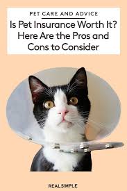 Is Pet Insurance Worth It Here Are The Pros And Cons To Consider Pet Insurance Pets Pet Care