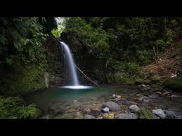 Parque nacional general de división omar torrijos herrera el copé área de conservación azuero y la cordillera central: Comunidad De Santa Fe Veraguas Panama