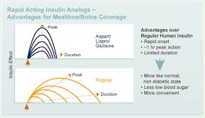 Insulin Analogs Diabetes Education Online