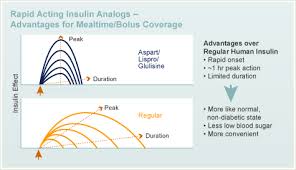 Human Insulin Diabetes Education Online