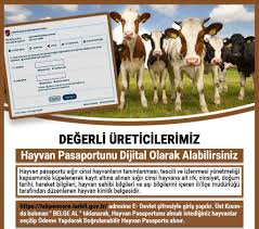 internetten hayvan pasaportu sorgulama ziraat odasi portal