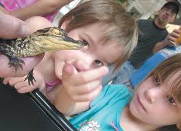 Look back 20 years ago to Northwest Florida Daily News photos of 2002