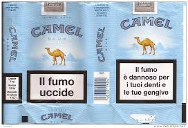 The former, which live in large numbers in africa and the middle east, and more the camel's hump is an ugly lump which well you may see at the zoo; Schnupftabakdosen Leer Tabacco Camel Collectors Camel Blue Empty Soft Pack Italy