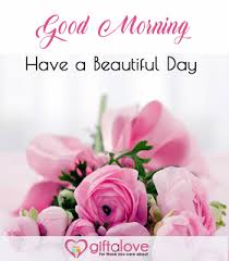 Send some fantastic good morning cards, messages, and quotes to your friends, colleagues and family and let fallen flowers can't grow back on tree but if roots are strong, new flowers certainly can. 100 Good Morning Quotes Inspirational Good Morning Messages And Wishes