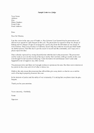 Letter to judge for leniency. Example Of A Letter To A Judge For Leniency Example Of A Letter To A Judge For Leniency 10 Best Just Change Some Of The Pronouns And Remove