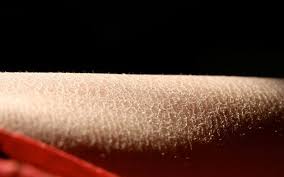 Selain itu, beberapa jenis obat untuk mengurangi rasa gatal, kulit yang kering, atau bersisik, mungkin akan diberikan oleh dokter. Kulit Bersisik Hati Hati Kondisi Psoriasis Jenis Ciri Psoriasis Bagian 1 K Link Indonesia