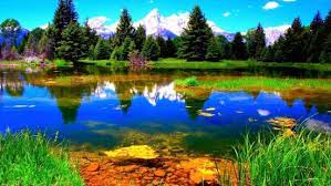 Kita juga tentu akan senang sekali jika di handphone kita menyimpan gambar gambar pemandangan yang indah. Wallpaper Pemandangan Alam Kualitas Hd We Have 24 871 Wallpaper Images Free Download Fashionsista Co