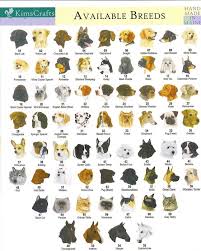 Name 15 Breeds Of Dogs Goldenacresdogs Com
