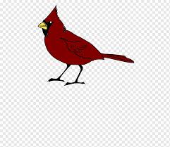 Use them in commercial designs under lifetime, perpetual & worldwide rights. Red Cardinal Png Images Pngwing