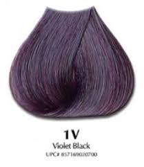 Violet Black Hair Color For Black Hair Violet Black Hair Color Violet Hair Colors