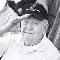 Mr. Matthew Joseph Niznik Obituary