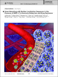 3d character artist ★ blizzard entertainment. Frontispiece Smart Nanodrug With Nuclear Localization Sequences In The Presence Of Mmp 2 To Overcome Biobarriers And Drug Resistance Mo 2019 Chemistry A European Journal Wiley Online Library