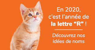 Maybe you would like to learn more about one of these? Nom De Chat En R Pour L Annee 2020 Toutes Nos Idees Pour Votre Chaton Choisir Son Chat Wamiz