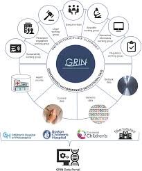 The Genomics Research And Innovation Network Creating An