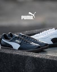 Image result for Puma 1200
