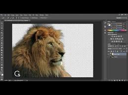 شرح طريقة قص الصور باحترافية شديدة باستخدام الفوتوشوب Youtube Animals Image Lion