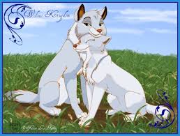 Résultat de recherche d'images pour "photo de le royaume des loup"