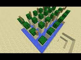 How to make a helicopter. Minecraft Skyblock How To Make A Automated Cactus Farm Youtube