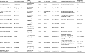 Image result for Grewia conocarpoides